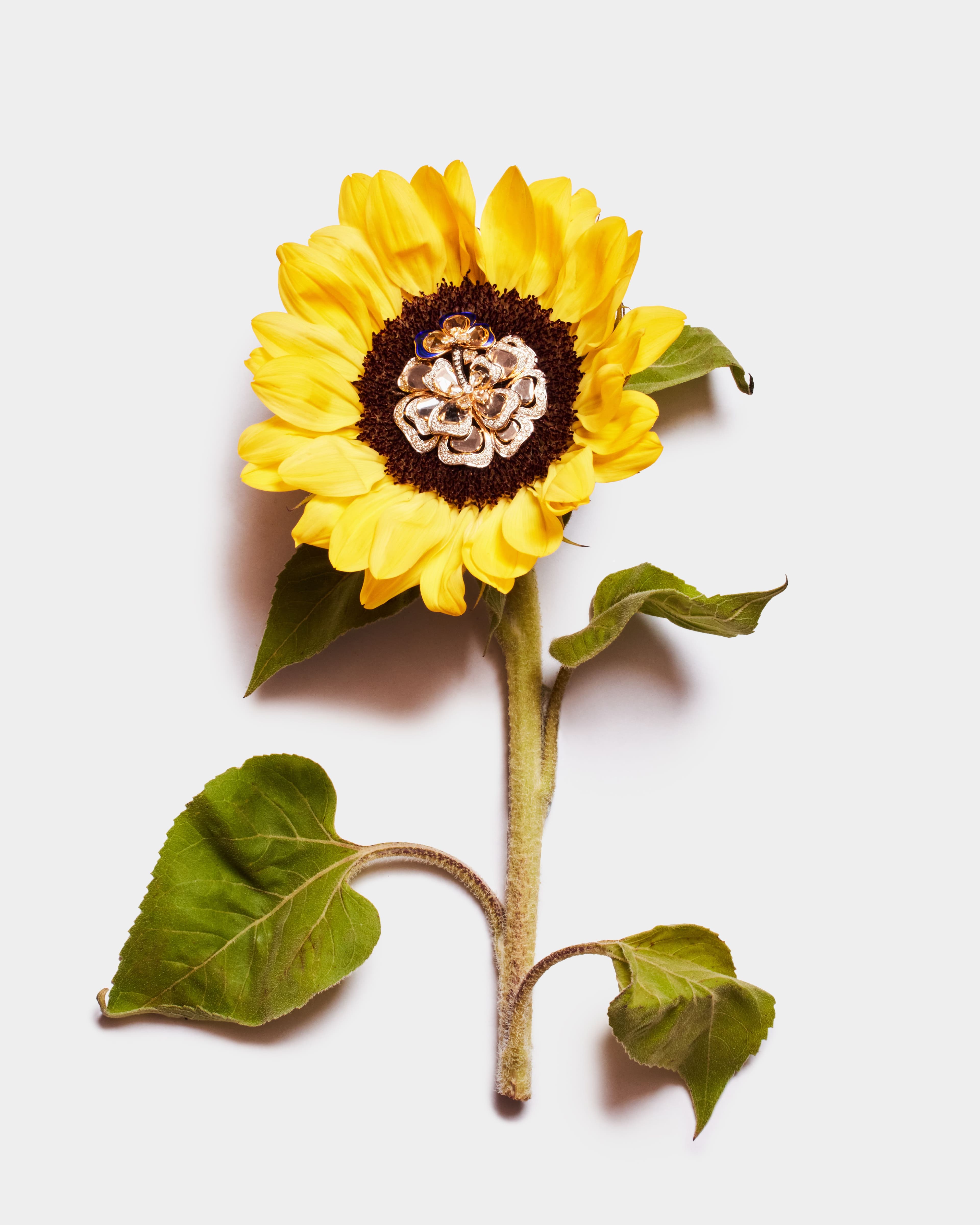 contemporary jewellery earring